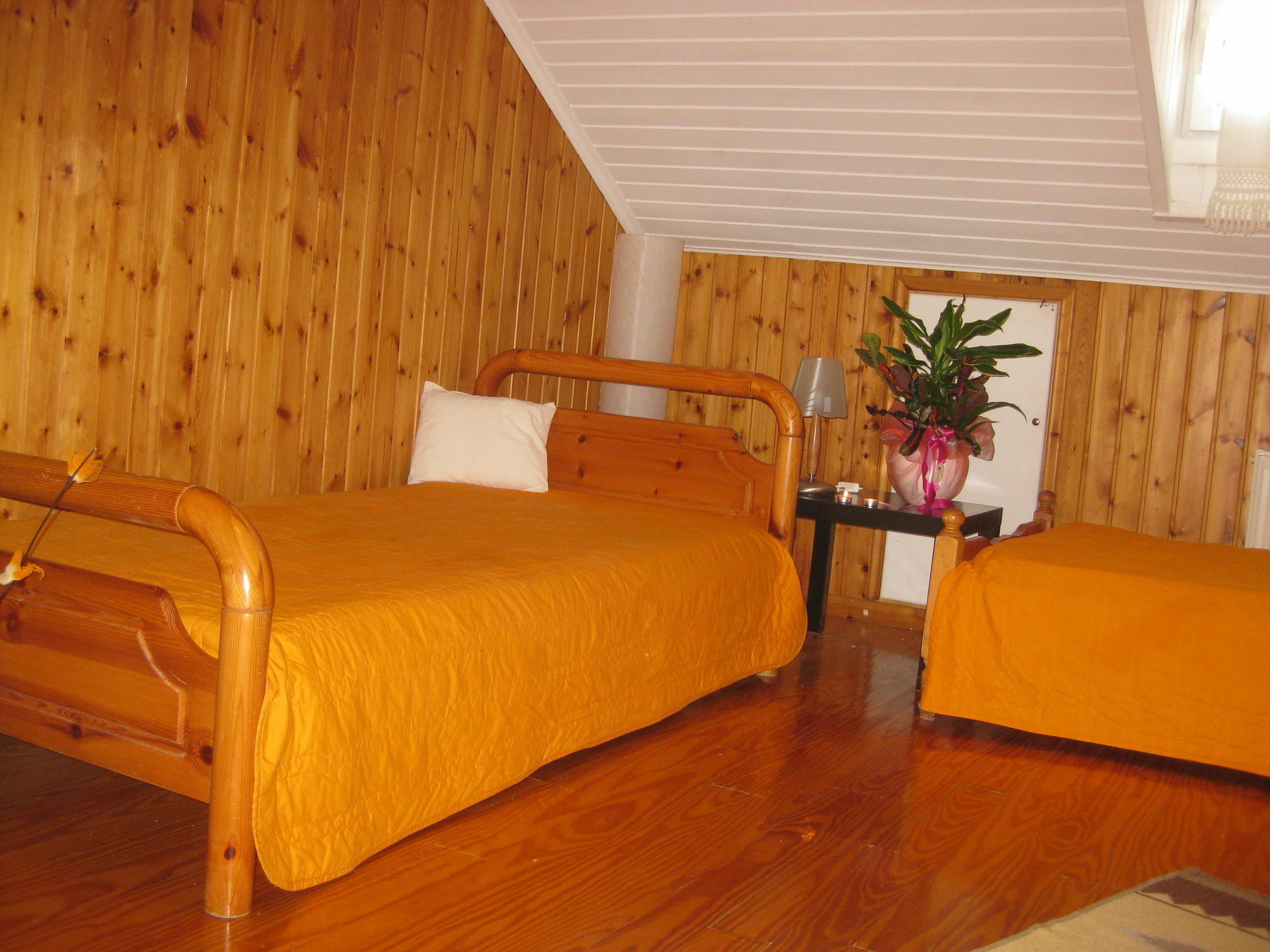 Lefkada Center Apartments Kültér fotó