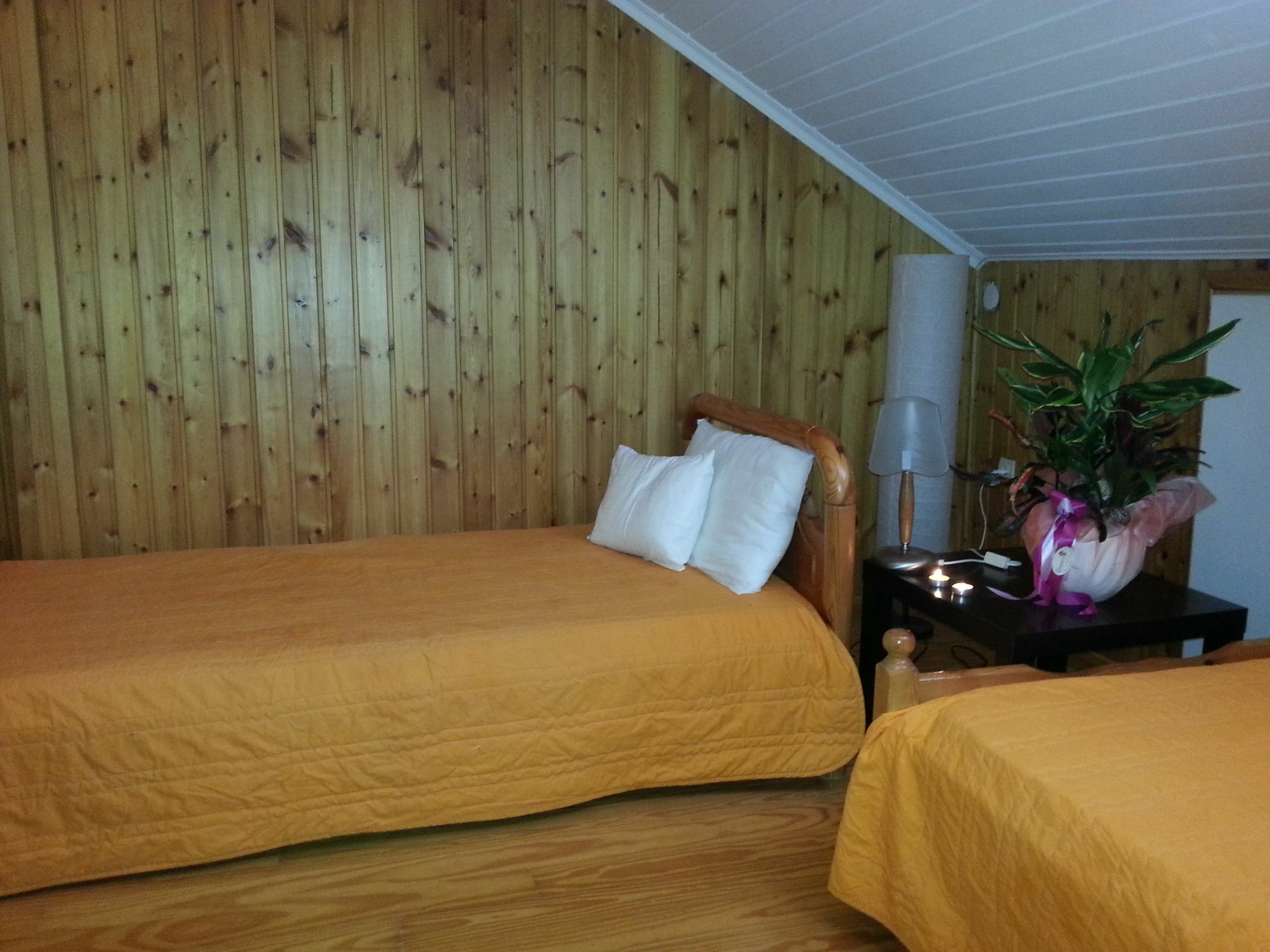 Lefkada Center Apartments Kültér fotó