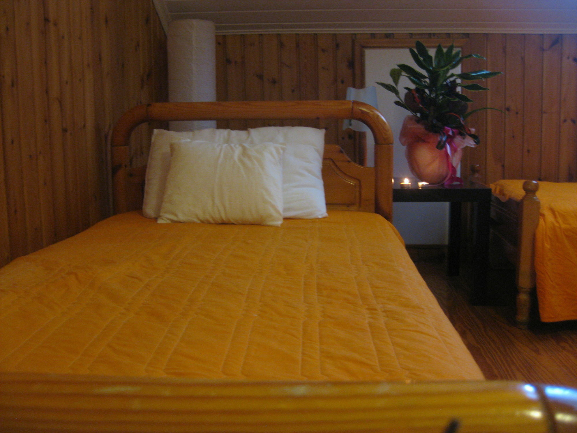 Lefkada Center Apartments Kültér fotó